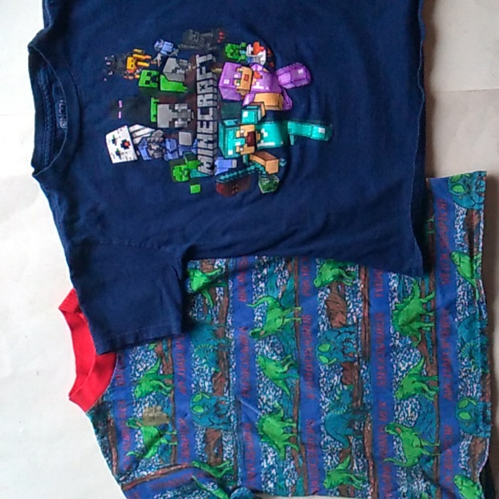 Minecraft and dino TShirts